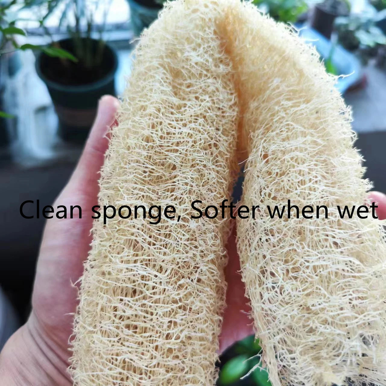 Whole Natural and Eco-Friendly Cleaning Loofah Sponge Scrubber for Kitchen Bathroom Bath Shower Pot Bowl Sponge Scrubber Spa