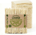 Natural Loofah Dish Sponge (Pack 30) Multipurpose Dish Sponges - 100% Biodegradable Compostable Dishwashing Scouring Pad Zero Waste (2.75" X 2.75" Each)